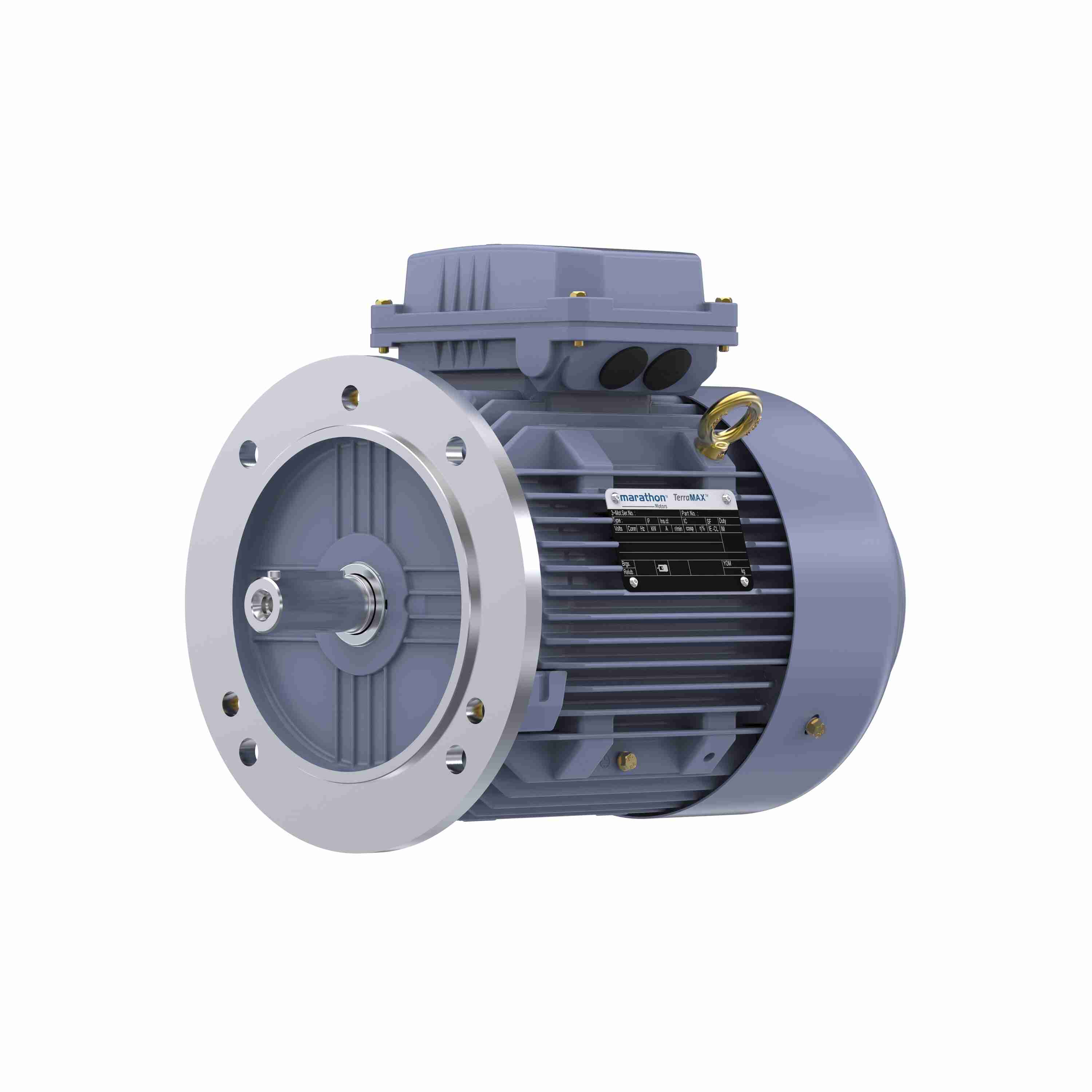 Marathon Electric Cast Iron Motor, 1 HP, 3 Ph, 50 Hz, 380 V, 3000 RPM, 80M Frame, TEFC
