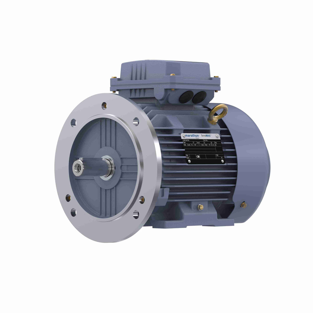 Marathon Electric Cast Iron Motor, 5.50 HP, 3 Ph, 50 Hz, 380 V, 3000 RPM, 112M Frame, TEFC
