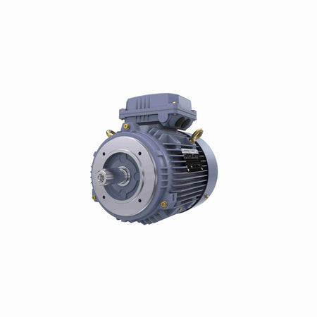 Marathon Electric Cast Iron Motor, 1 HP, 3 Ph, 50 Hz, 380 V, 3000 RPM, 80M Frame, TEFC