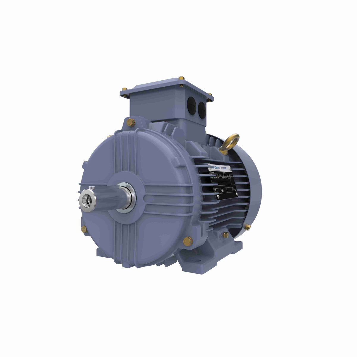 Marathon Electric Cast Iron Motor, 1 HP, 3 Ph, 50 Hz, 400 V, 1000 RPM, 90S Frame, TEFC