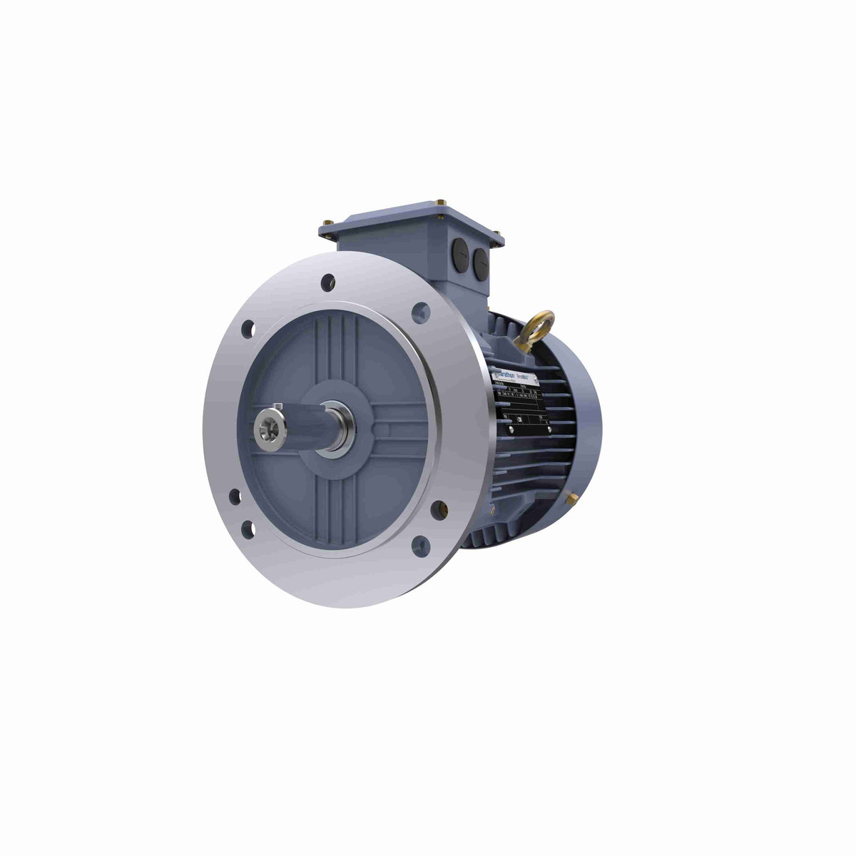 Marathon Electric Cast Iron Motor, 1.50 HP, 3 Ph, 50 Hz, 400 V, 1500 RPM, 90S Frame, TEFC
