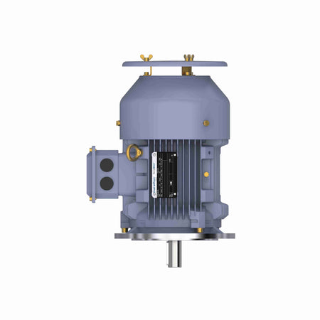 Marathon Electric Cast Iron Motor, 2 HP, 3 Ph, 50 Hz, 400 V, 3000 RPM, 90S Frame, TEFC
