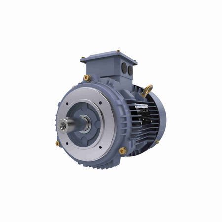 Marathon Electric Cast Iron Motor, 1.50 HP, 3 Ph, 50 Hz, 400 V, 1000 RPM, 90L Frame, TEFC