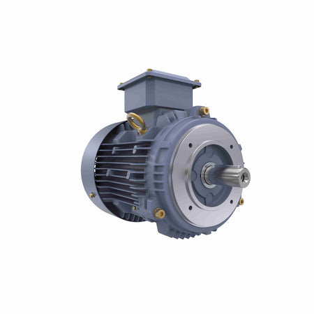 Marathon Electric Cast Iron Motor, 4 HP, 3 Ph, 50 Hz, 400 V, 3000 RPM, 100L Frame, TEFC