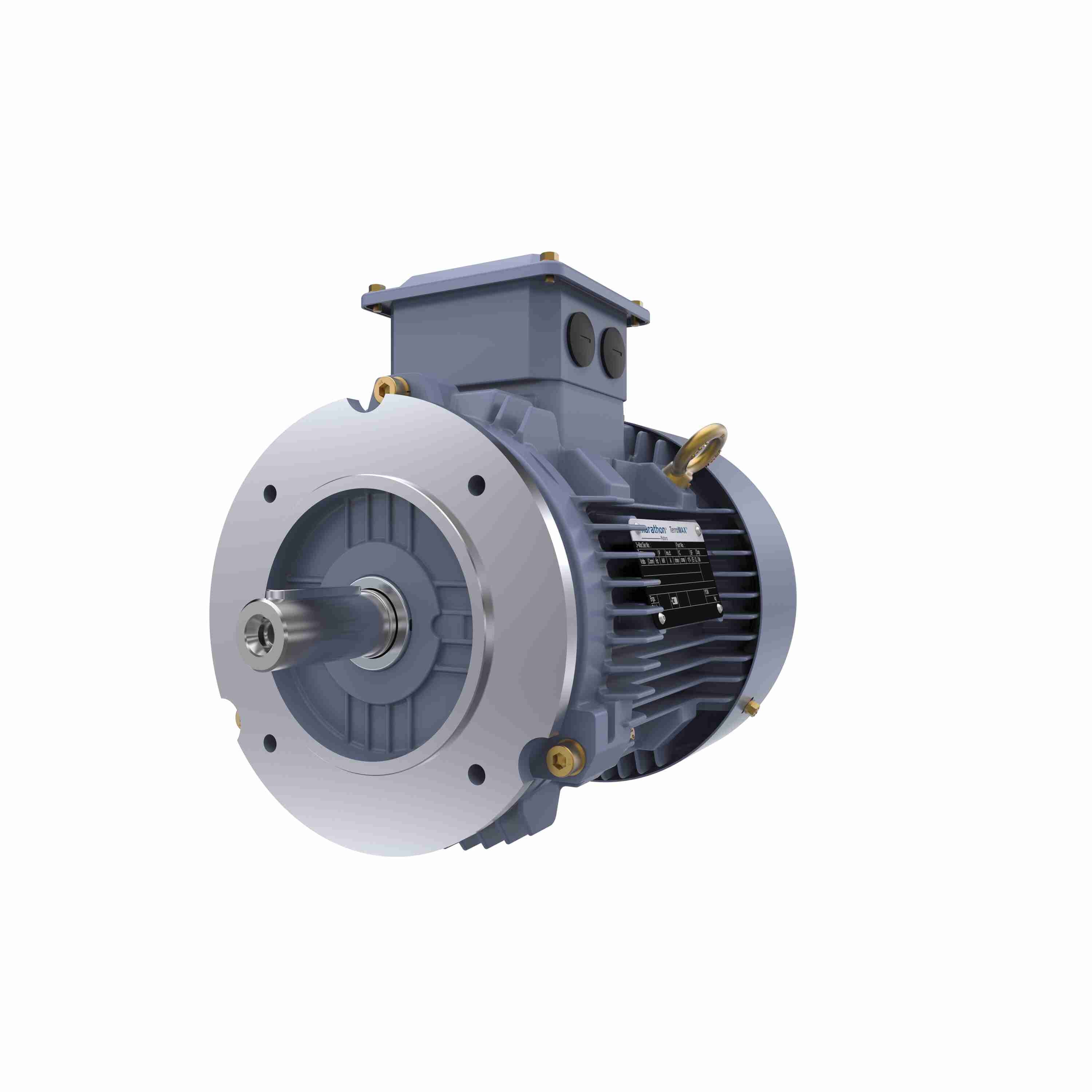 Marathon Electric Cast Iron Motor, 5.50 HP, 3 Ph, 50 Hz, 400 V, 1500 RPM, 112M Frame, TEFC