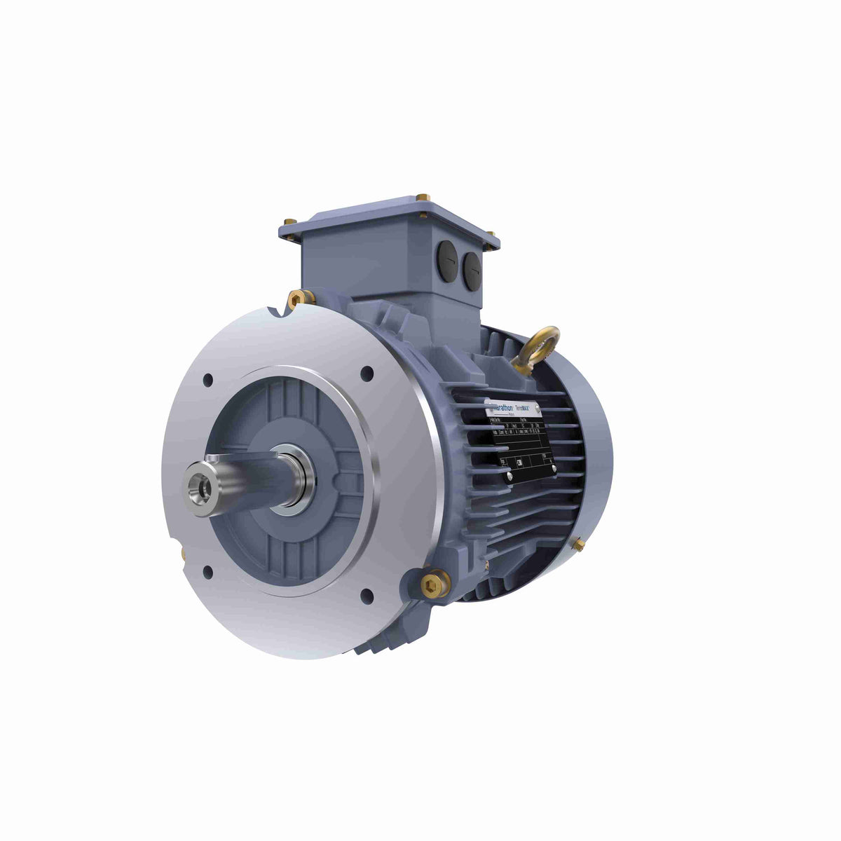 Marathon Electric Cast Iron Motor, 1 HP, 3 Ph, 50 Hz, 400 V, 1000 RPM, 90S Frame, TEFC