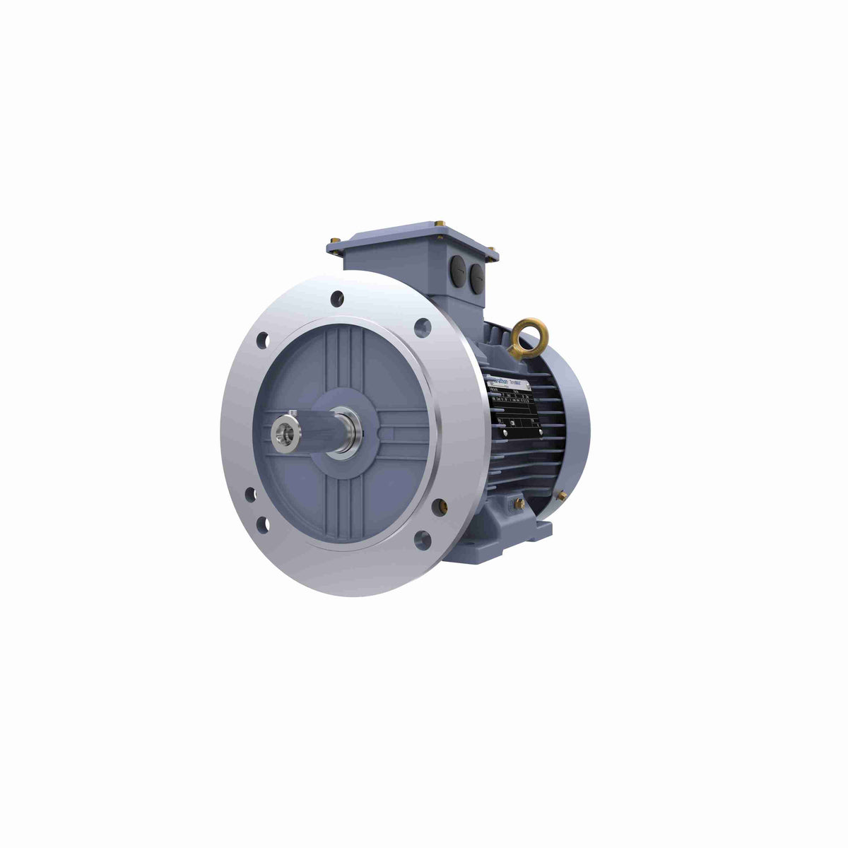 Marathon Electric Cast Iron Motor, 5.50 HP, 3 Ph, 50 Hz, 380/660 V, 3000 RPM, 112M Frame, TEFC