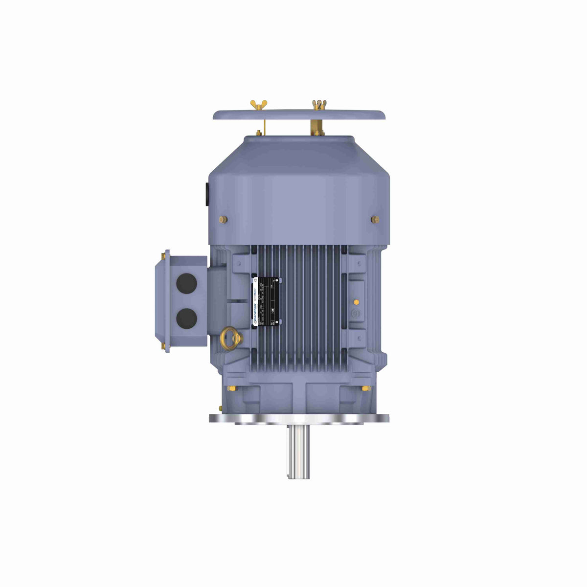 Marathon Electric Cast Iron Motor, 10 HP, 3 Ph, 50 Hz, 400 V, 750 RPM, 160L Frame, TEFC
