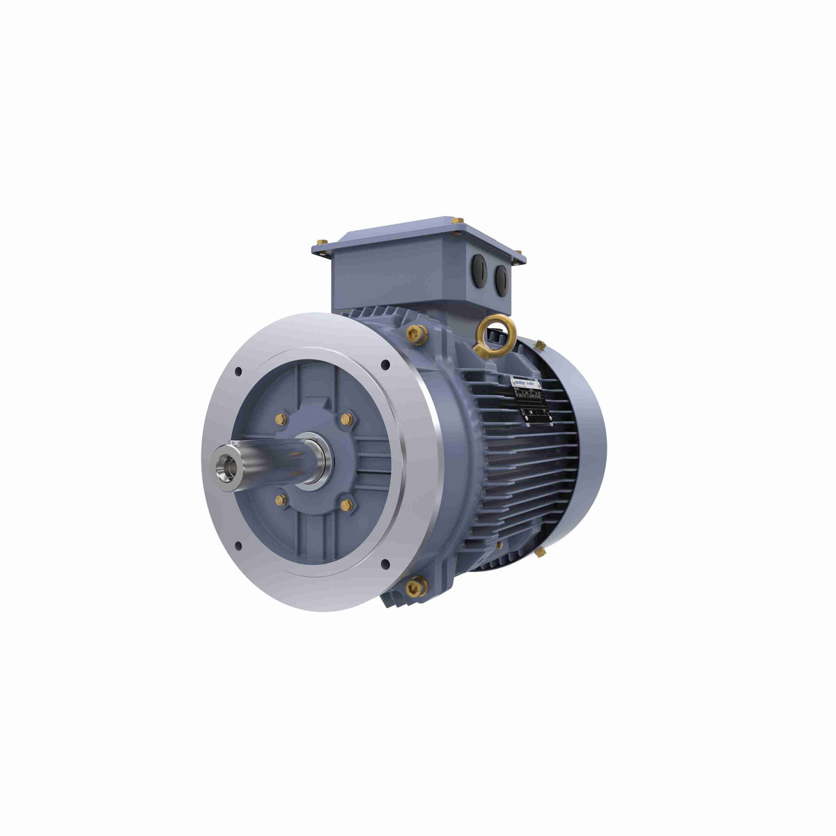 Marathon Electric Cast Iron Motor, 15 HP, 3 Ph, 50 Hz, 400 V, 3000 RPM, 160M Frame, TEFC