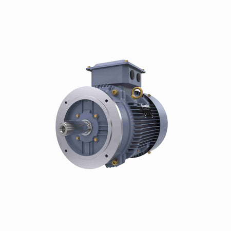 Marathon Electric Cast Iron Motor, 5.50 HP, 3 Ph, 50 Hz, 400 V, 750 RPM, 160M Frame, TEFC