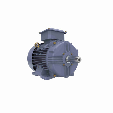 Marathon Electric Cast Iron Motor, 25 HP, 3 Ph, 50 Hz, 415 V, 3000 RPM, 160L Frame, TEFC