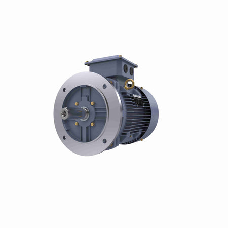 Marathon Electric Cast Iron Motor, 7.50 HP, 3 Ph, 50 Hz, 380/660 V, 750 RPM, 160M Frame, TEFC
