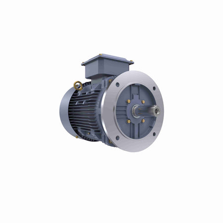 Marathon Electric Cast Iron Motor, 25 HP, 3 Ph, 50 Hz, 380/660 V, 3000 RPM, 160L Frame, TEFC