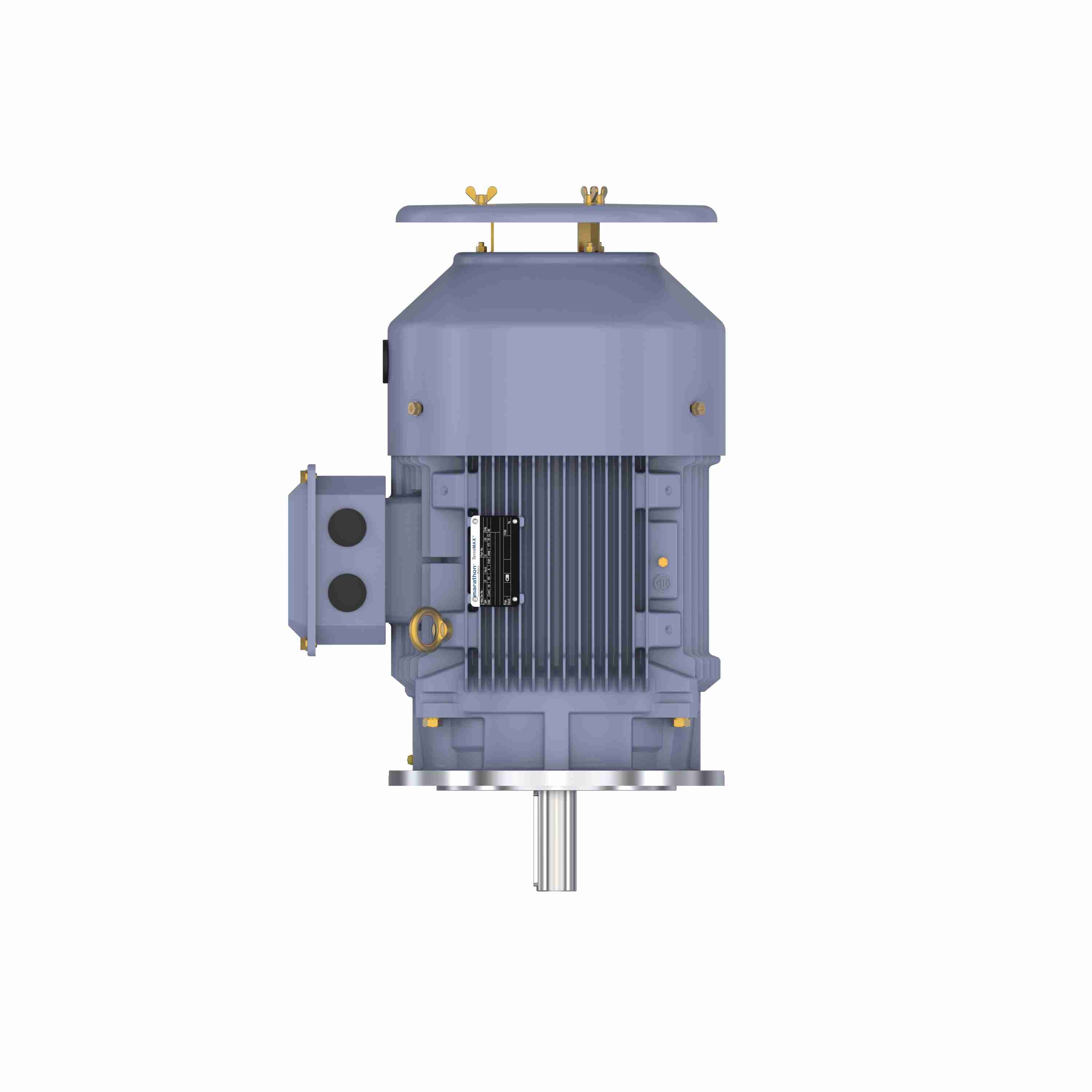 Marathon Electric Cast Iron Motor, 15 HP, 3 Ph, 50 Hz, 380/660 V, 3000 RPM, 160M Frame, TEFC