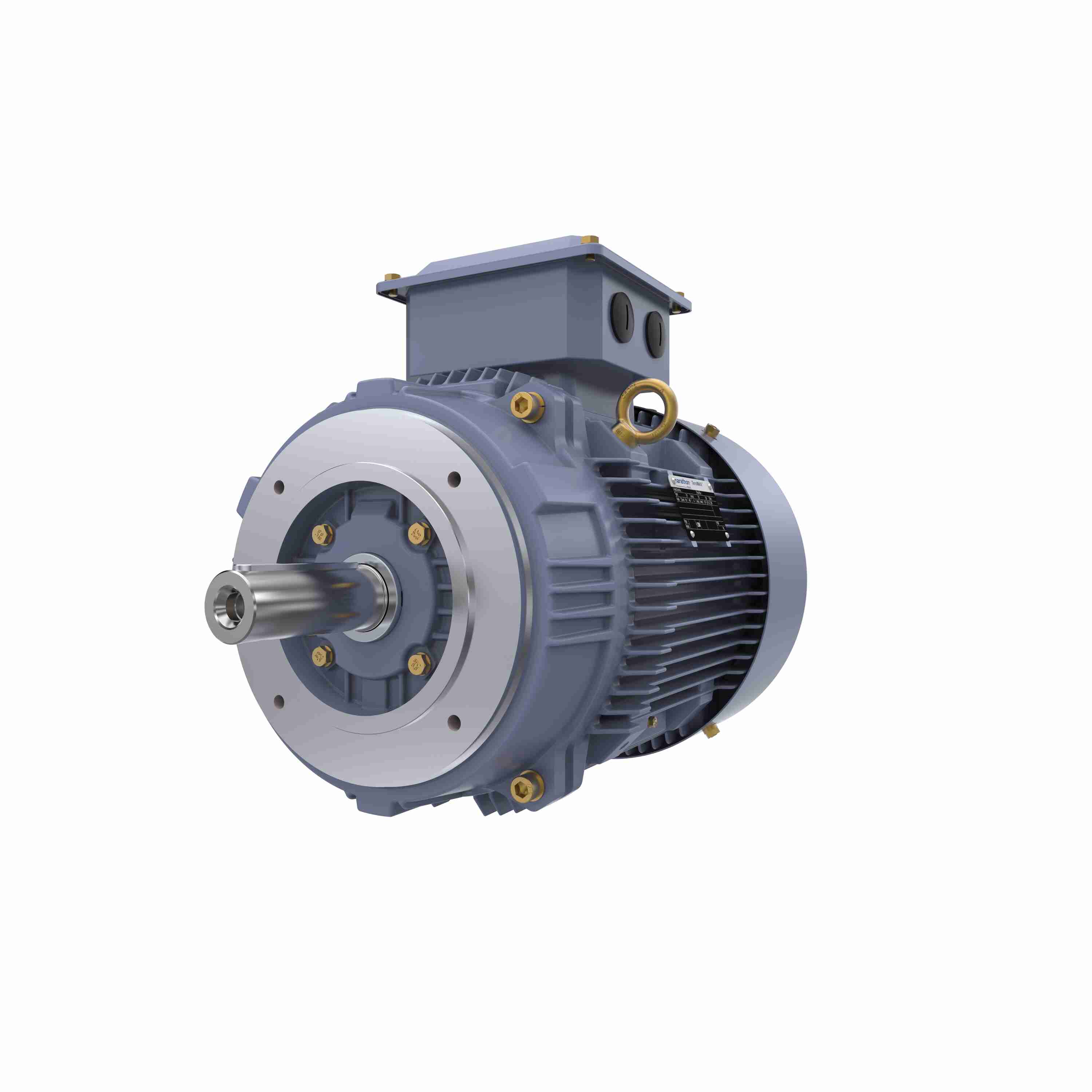 Marathon Electric Cast Iron Motor, 15 HP, 3 Ph, 50 Hz, 380/660 V, 1500 RPM, 160M Frame, TEFC