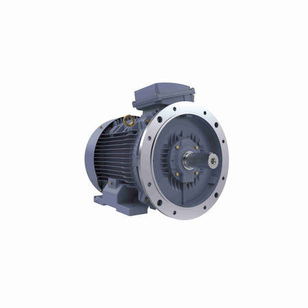 Marathon Electric Cast Iron Motor, 60 HP, 3 Ph, 50 Hz, 415 V, 1500 RPM, 225M Frame, TEFC