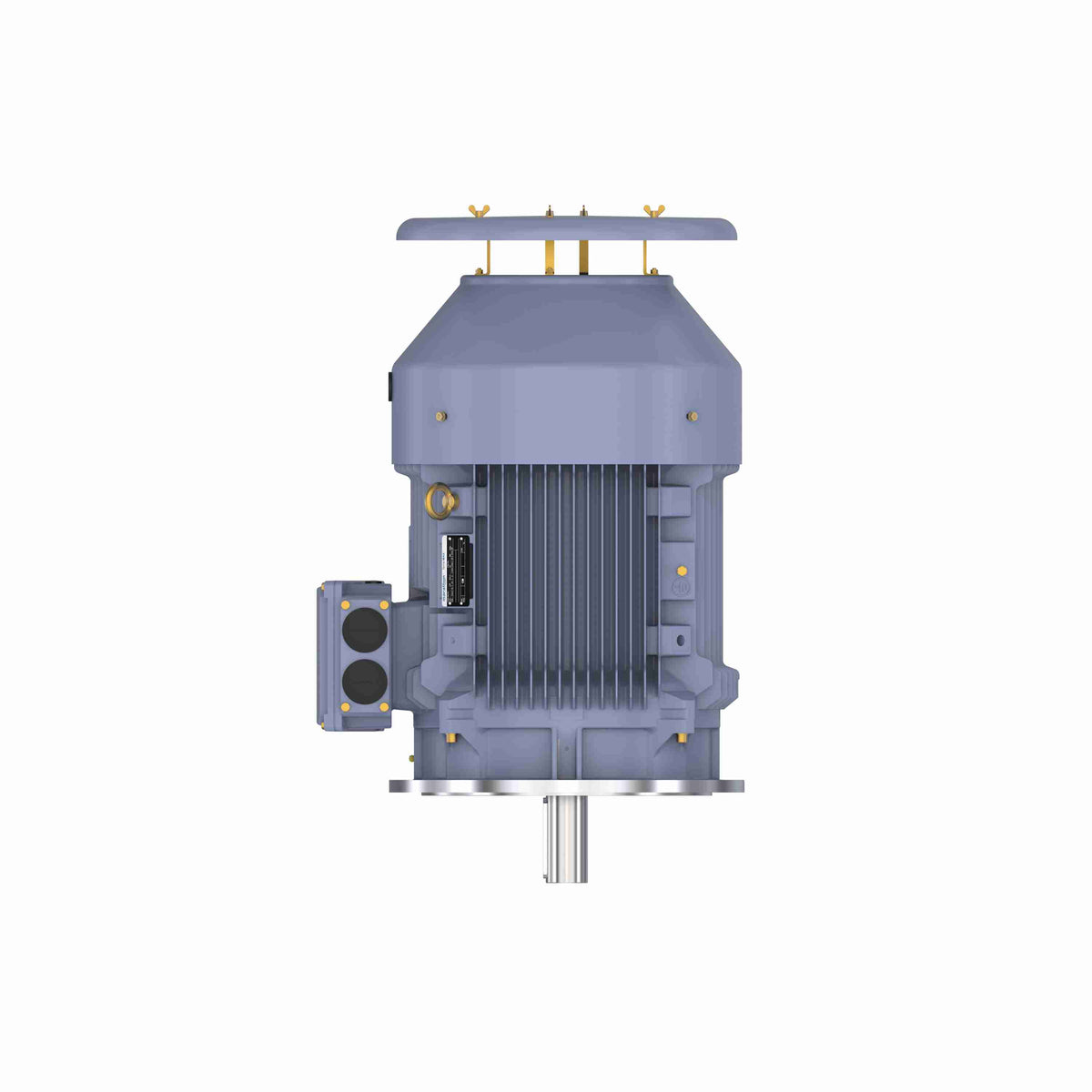 Marathon Electric Cast Iron Motor, 60 HP, 3 Ph, 50 Hz, 415 V, 3000 RPM, 225M Frame, TEFC