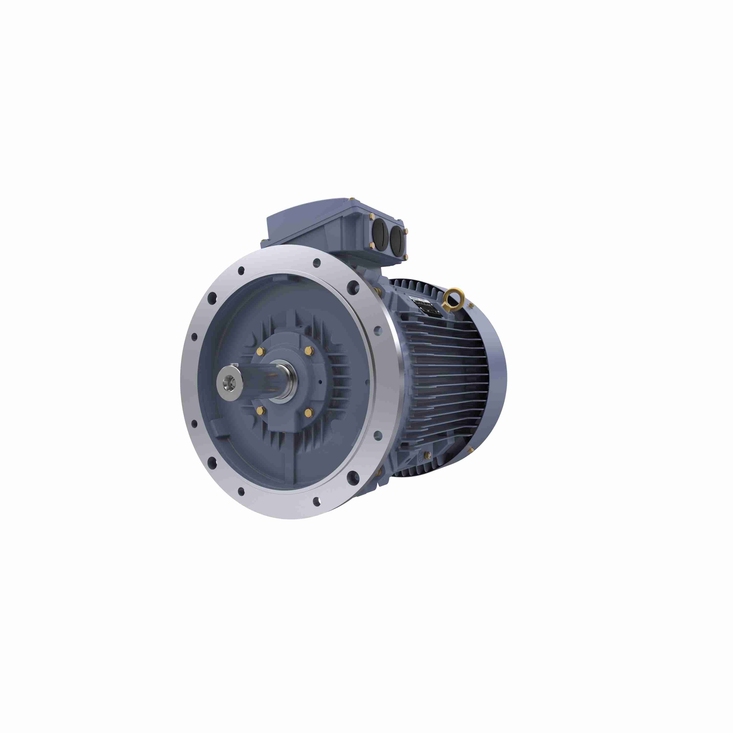 Marathon Electric Cast Iron Motor, 50 HP, 3 Ph, 50 Hz, 400 V, 1500 RPM, 225S Frame, TEFC