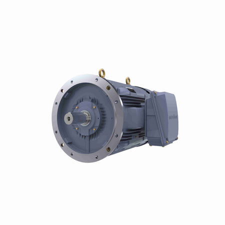 Marathon Electric Cast Iron Motor, 175 HP, 3 Ph, 50 Hz, 415 V, 1500 RPM, 315M Frame, TEFC