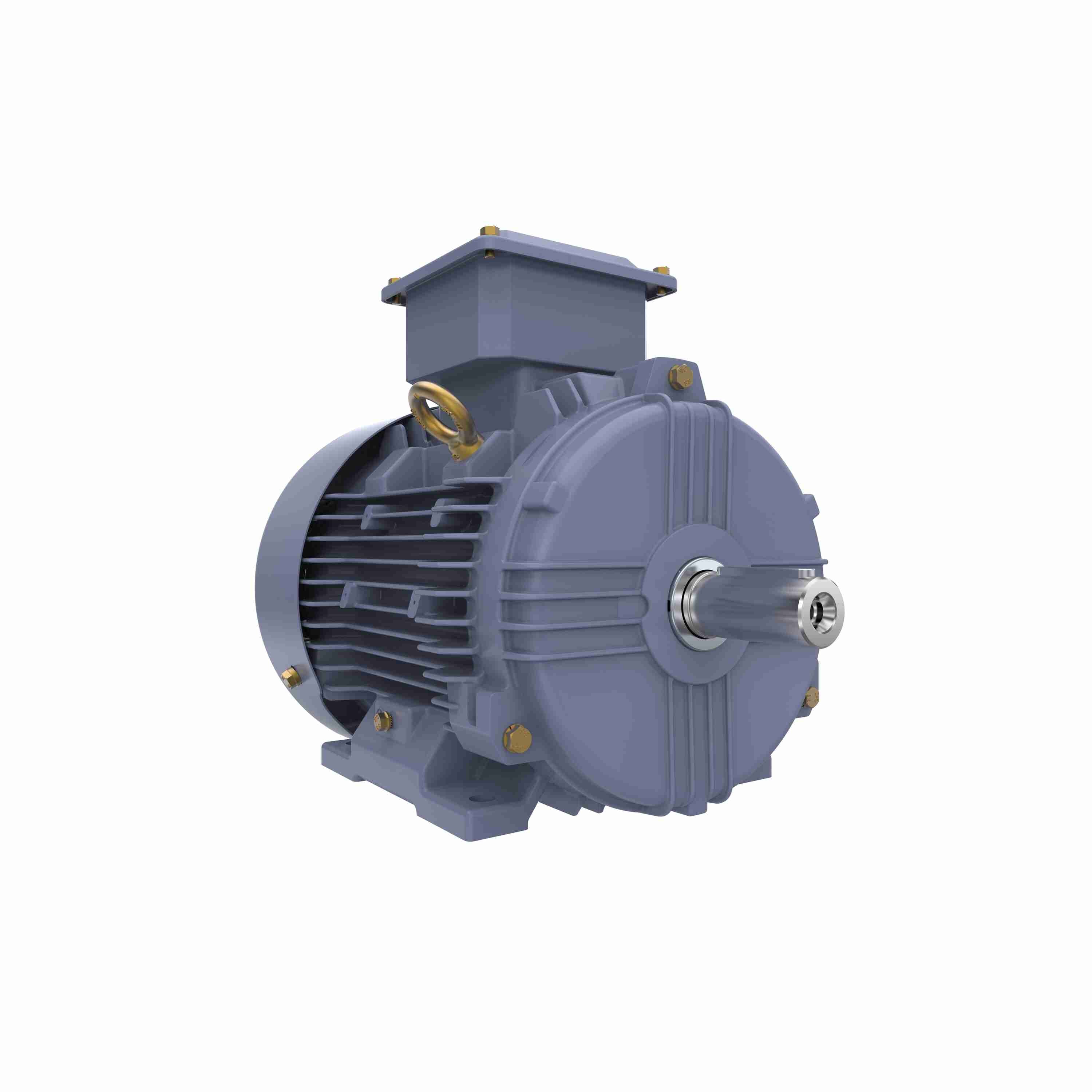 Marathon Electric Cast Iron Motor, 1 HP, 3 Ph, 50 Hz, 415 V, 750 RPM, 100L Frame, TEFC