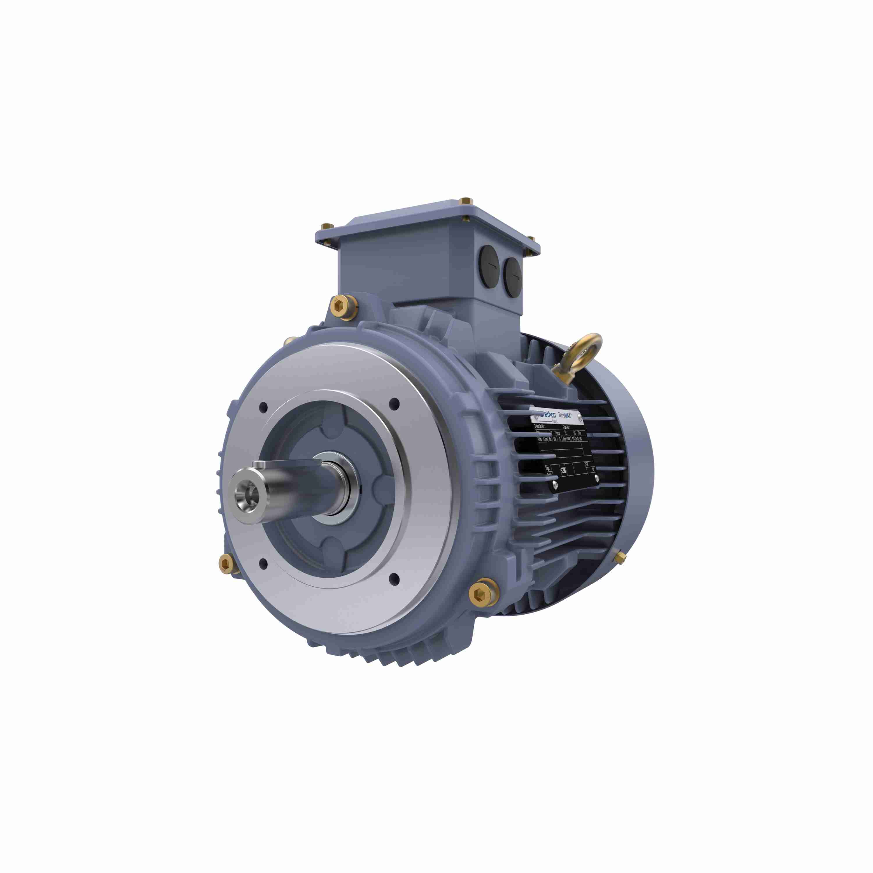Marathon Electric Cast Iron Motor, 2 HP, 3 Ph, 50 Hz, 415 V, 3000 RPM, 90S Frame, TEFC