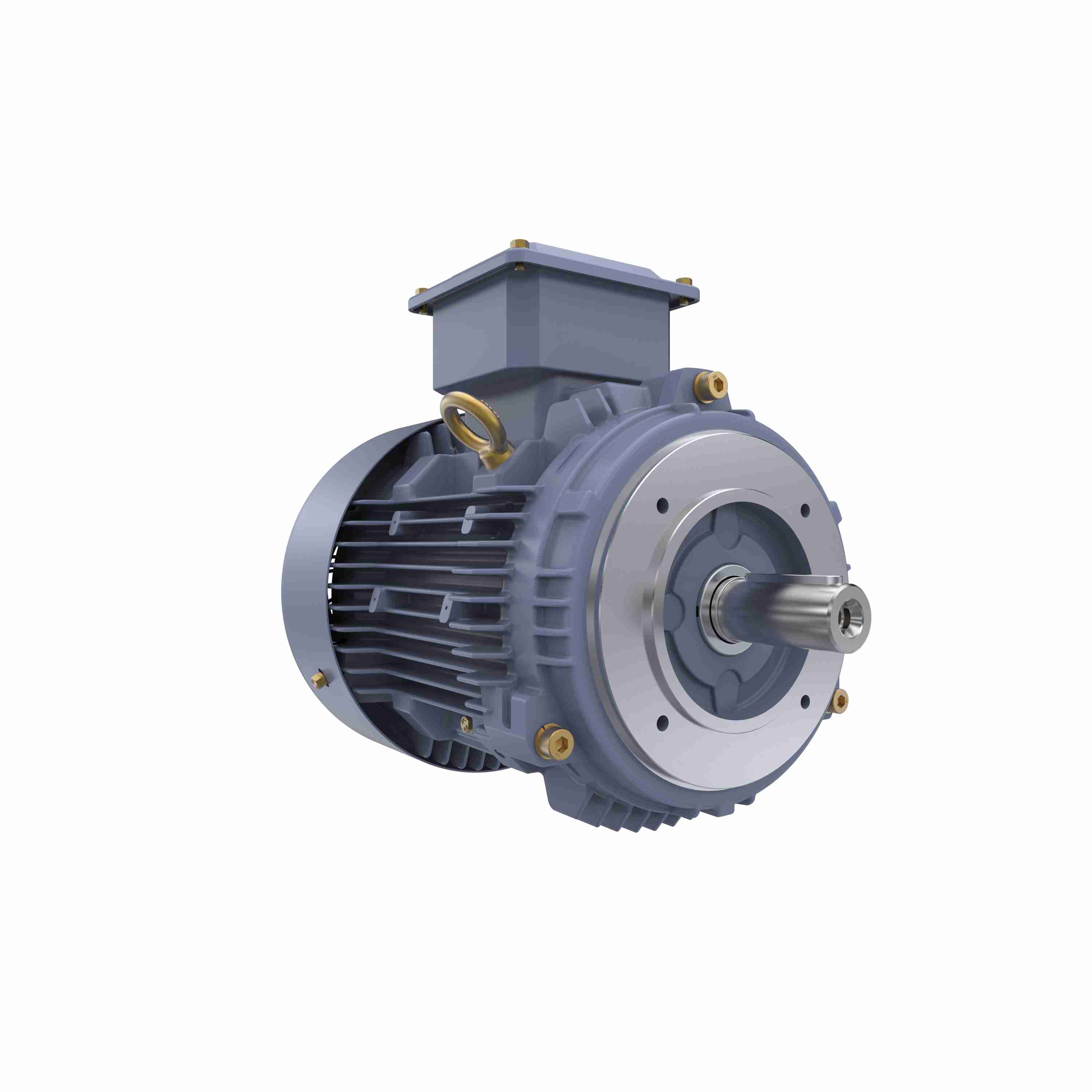 Marathon Electric Cast Iron Motor, 1 HP, 3 Ph, 50 Hz, 415 V, 750 RPM, 100L Frame, TEFC