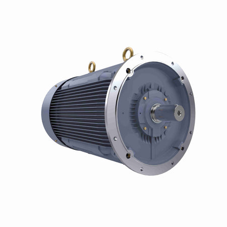 Marathon Electric Cast Iron Motor, 425 HP, 3 Ph, 50 Hz, 415 V, 1500 RPM, 355L Frame, TEFC