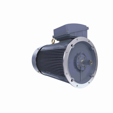 Marathon Electric Cast Iron Motor, 375 HP, 3 Ph, 50 Hz, 400 V, 1000 RPM, 355L Frame, TEFC