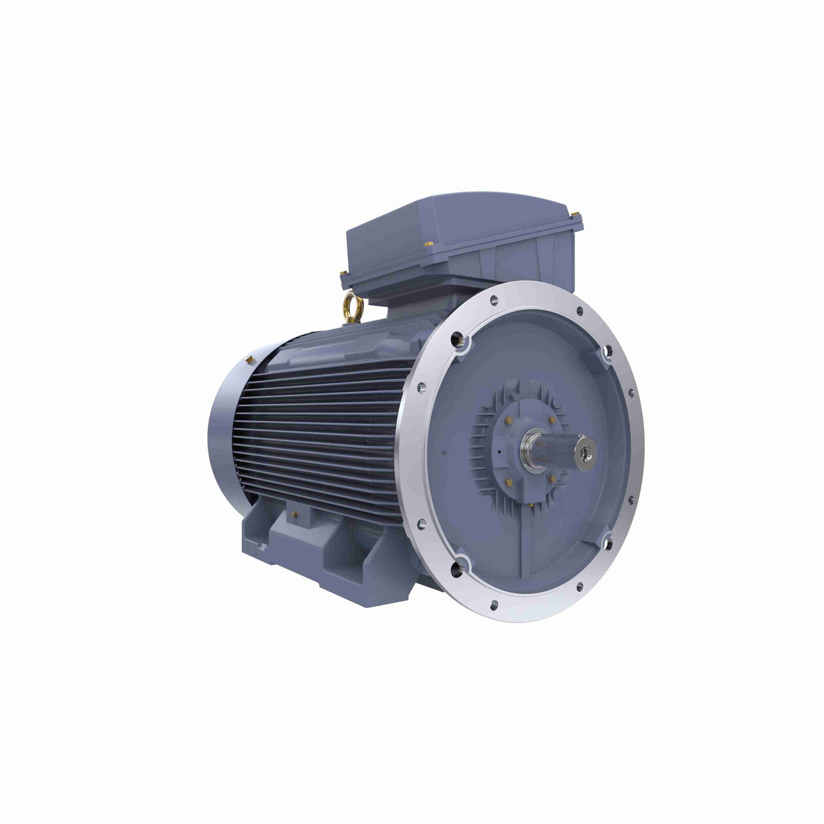 Marathon Electric Cast Iron Motor, 335 HP, 3 Ph, 50 Hz, 415 V, 1000 RPM, 355L Frame, TEFC