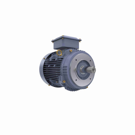 Marathon Electric Cast Iron Motor, 5.50 HP, 3 Ph, 50 Hz, 400 V, 1000 RPM, 132M Frame, TEFC