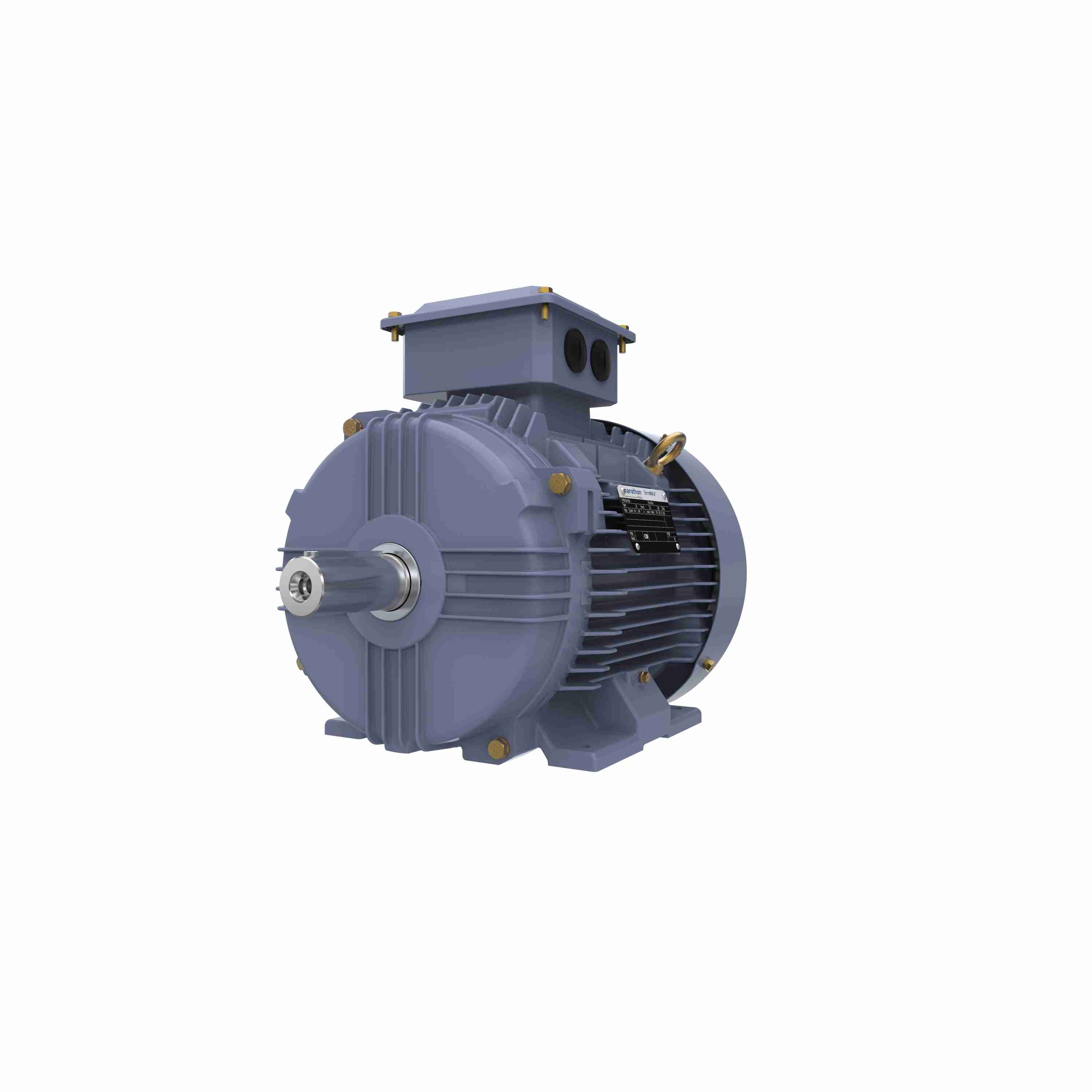 Marathon Electric Cast Iron Motor, 3 HP, 3 Ph, 50 Hz, 415 V, 750 RPM, 132S Frame, TEFC