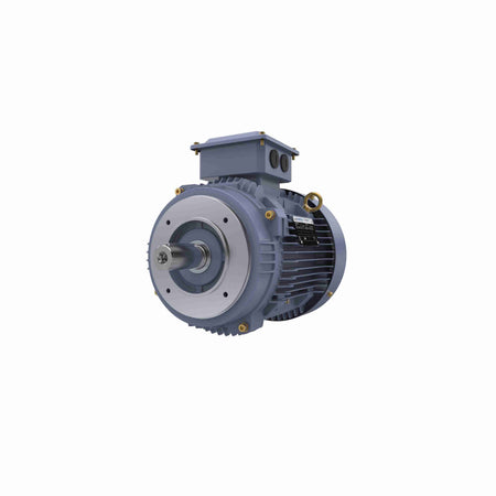 Marathon Electric Cast Iron Motor, 7.50 HP, 3 Ph, 50 Hz, 380/660 V, 3000 RPM, 132S Frame, TEFC
