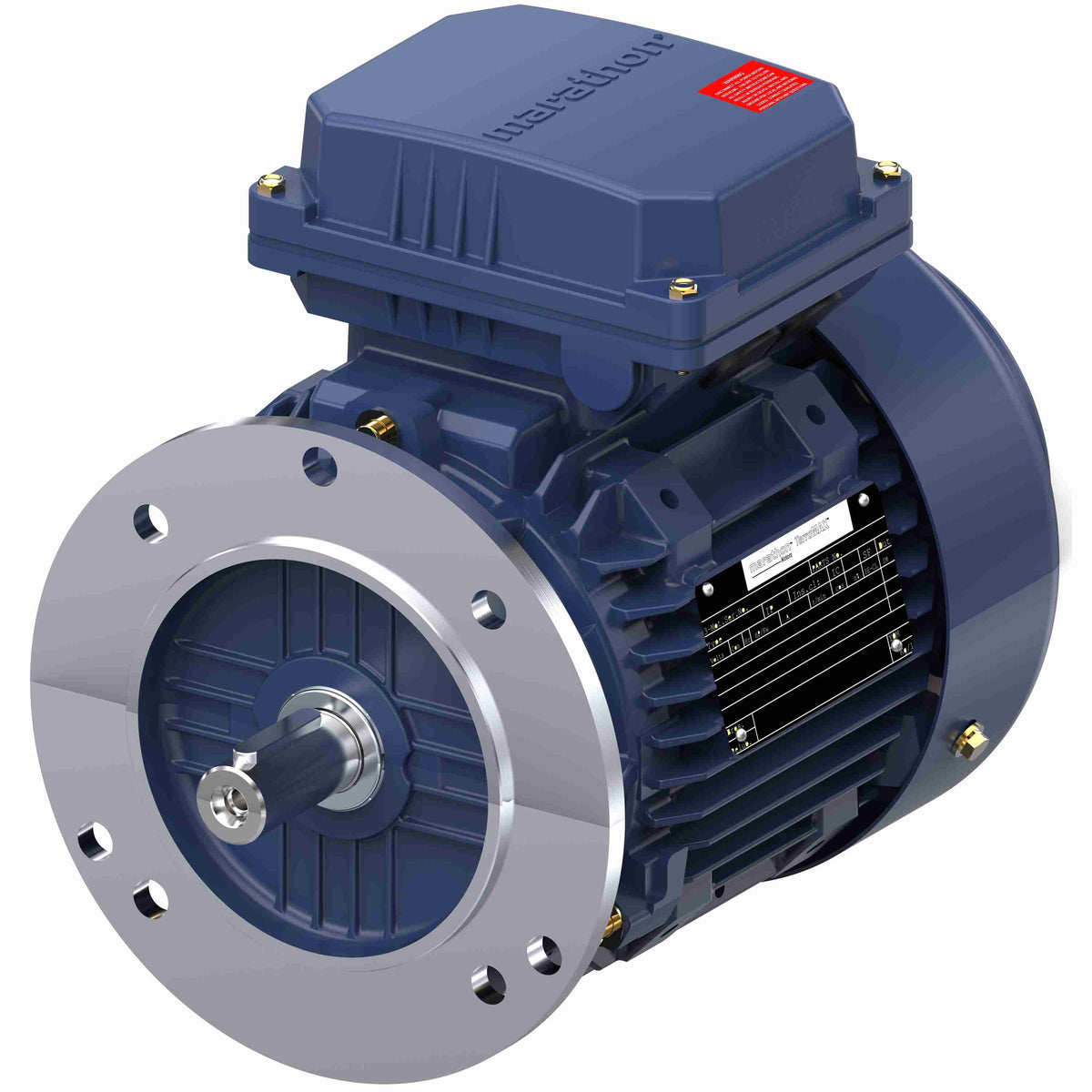 Marathon Electric Cast Iron Motor, 3 HP, 3 Ph, 50 Hz, 400 V, 1500 RPM, 100L Frame, TEFC