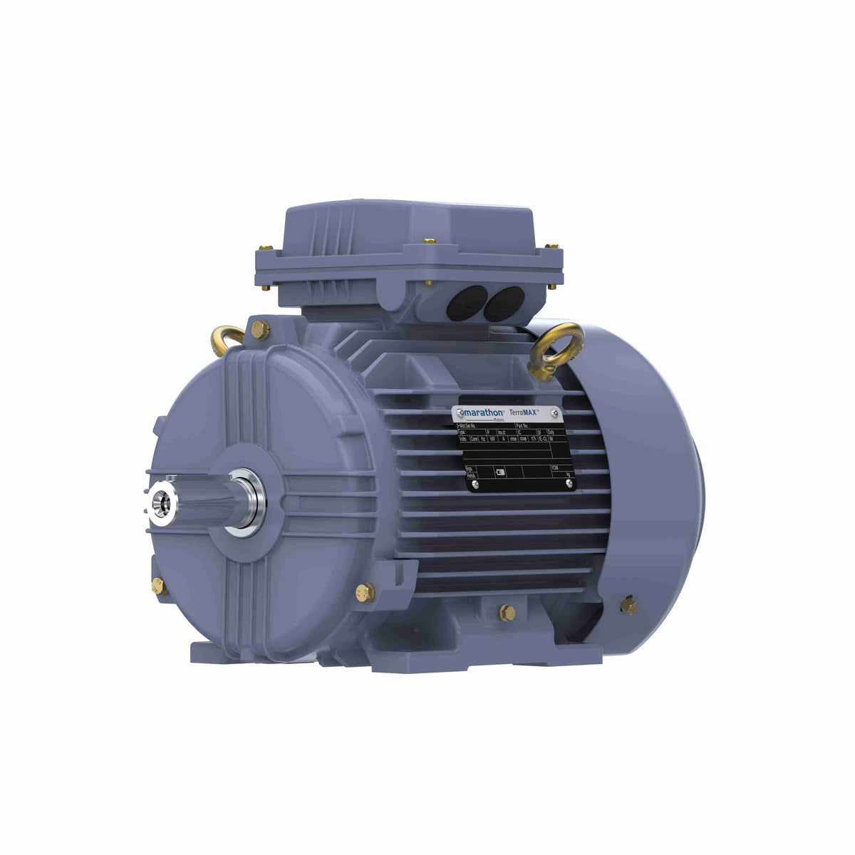 Marathon Electric IE3, 0.75kW, DUST IGNITION PROOF MOTORS, 3 phase, 2 Pole, 400V, 2880RPM, 50Hz, 80.7%, 80M Frame, TEFC