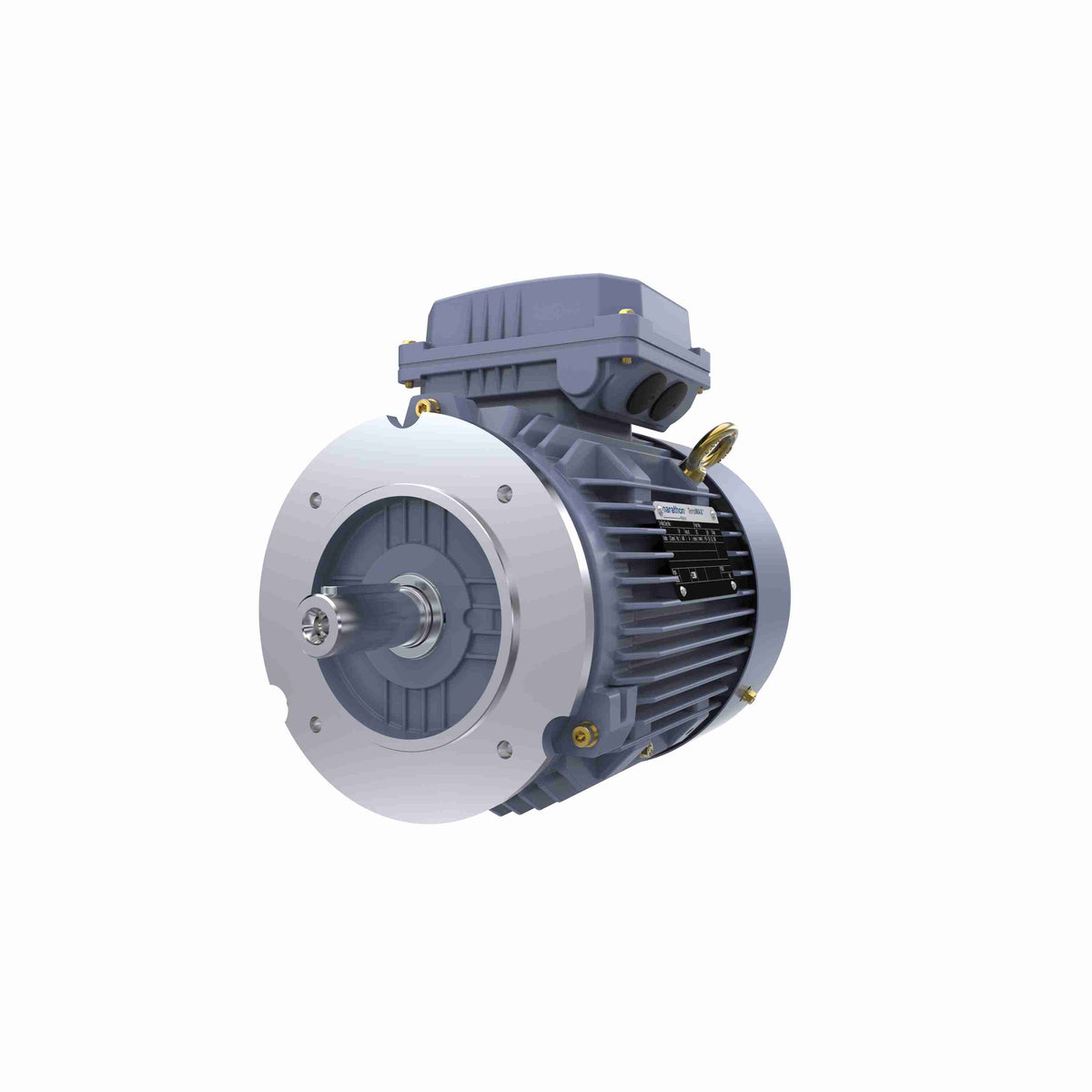 Marathon Electric Cast Iron Motor, 1.50 HP, 3 Ph, 50 Hz, 400 V, 1000 RPM, 90L Frame, TEFC
