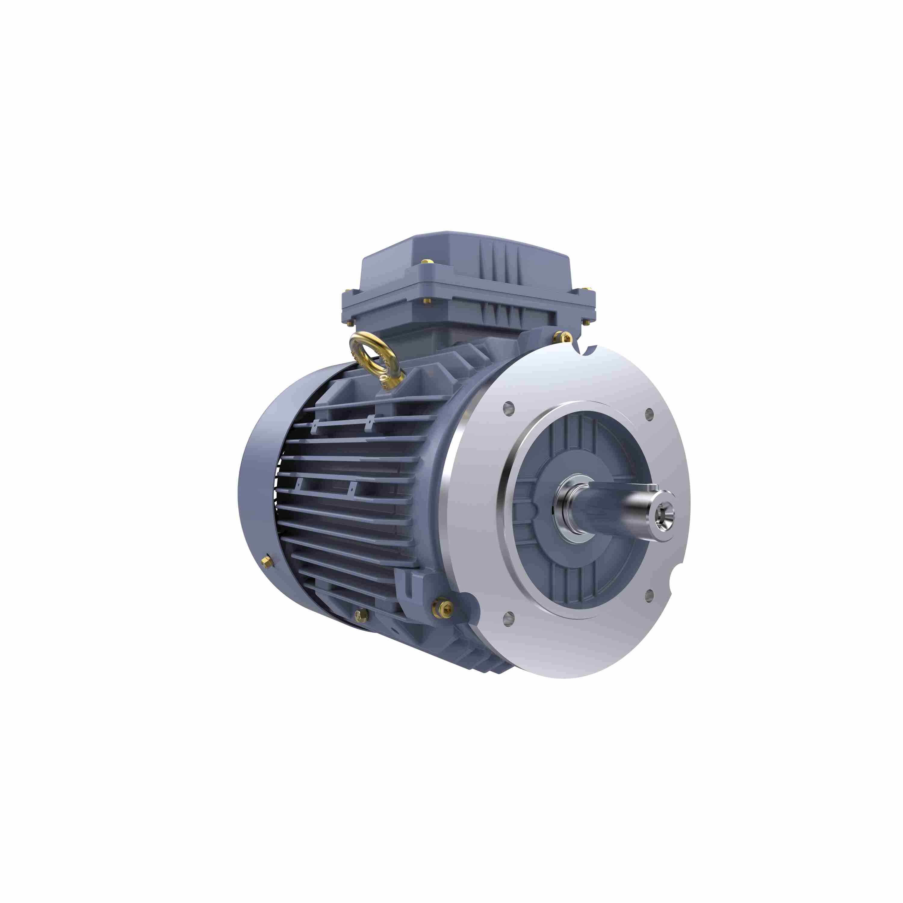 Marathon Electric Cast Iron Motor, 4 HP, 3 Ph, 50 Hz, 400 V, 1500 RPM, 100L Frame, TEFC