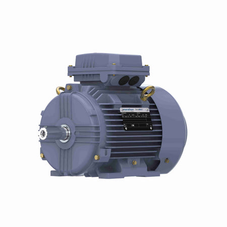 Marathon Electric Cast Iron Motor, 1.50 HP, 3 Ph, 50 Hz, 415 V, 1500 RPM, 90S Frame, TEFC