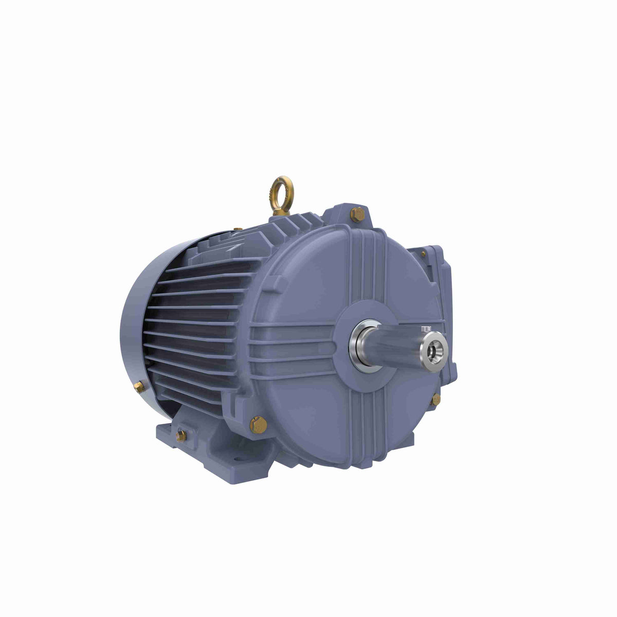 Marathon Electric Cast Iron Motor, 2 HP, 3 Ph, 50 Hz, 415 V, 1000 RPM, 100L Frame, TEFC