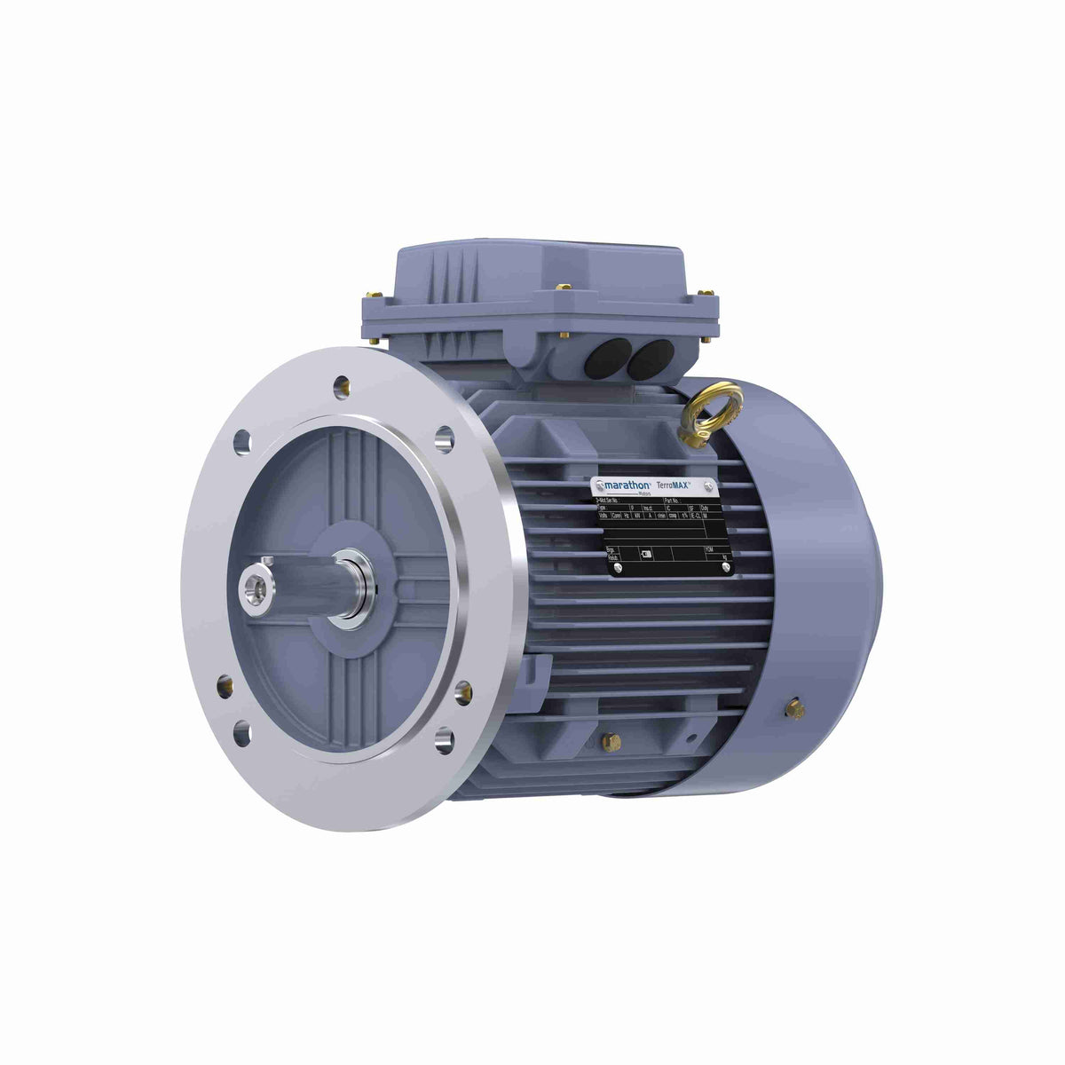 Marathon Electric Cast Iron Motor, 2 HP, 3 Ph, 50 Hz, 415 V, 1500 RPM, 90L Frame, TEFC