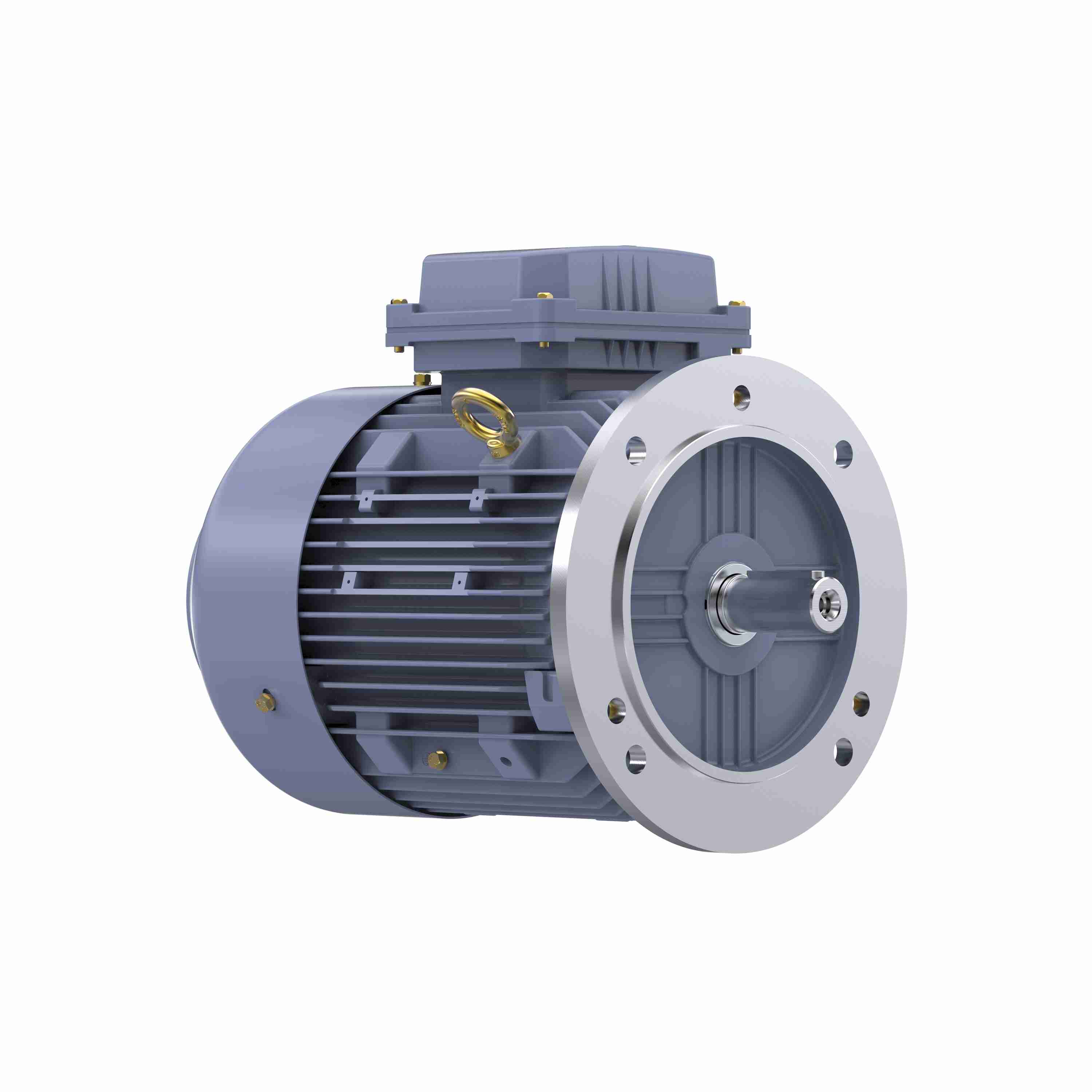 Marathon Electric Cast Iron Motor, 2 HP, 3 Ph, 50 Hz, 415 V, 1000 RPM, 100L Frame, TEFC