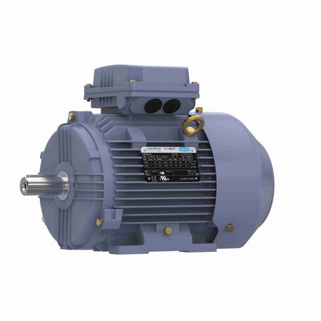 Marathon Electric 22KW-30HP,1800,TEFC,180L,3/60/230/460