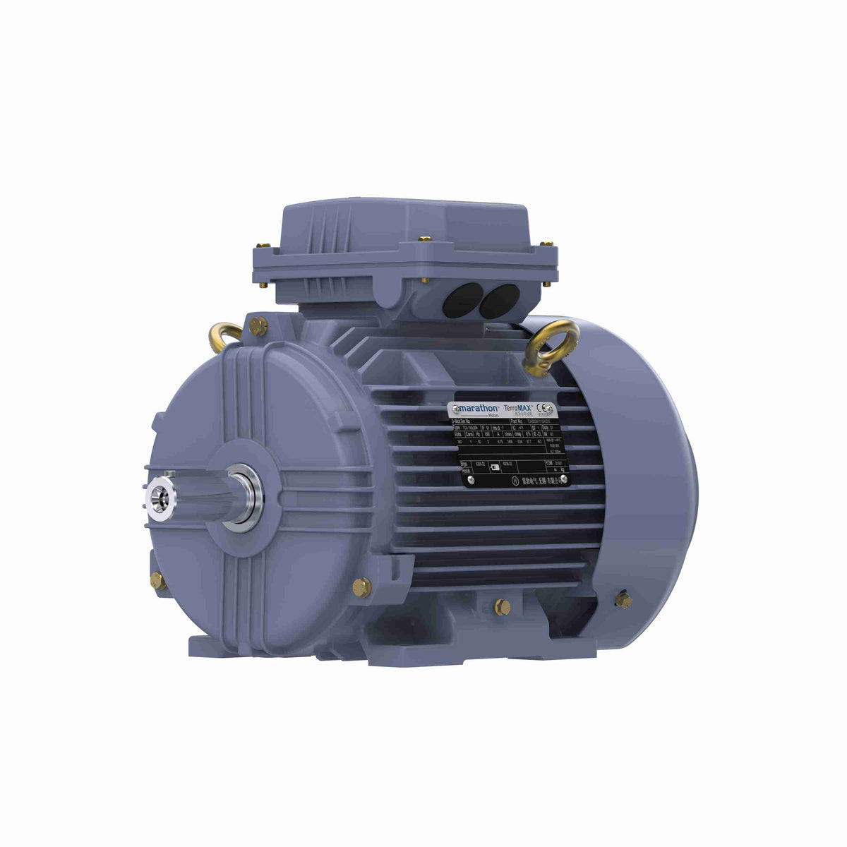 Marathon Electric Cast Iron Motor, 3 HP, 3 Ph, 50 Hz, 380 V, 1500 RPM, 100L Frame, TEFC