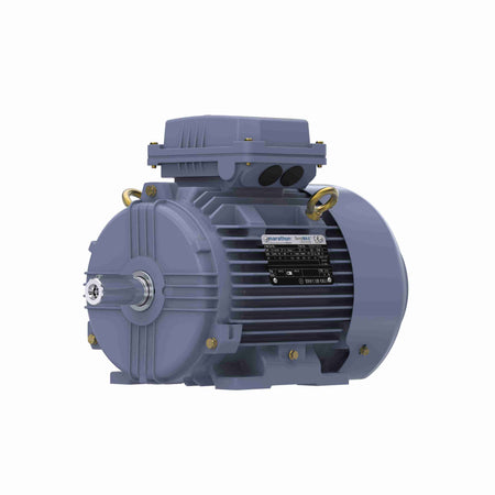 Marathon Electric Cast Iron Motor, 3 HP, 3 Ph, 50 Hz, 380 V, 1500 RPM, 100L Frame, TEFC