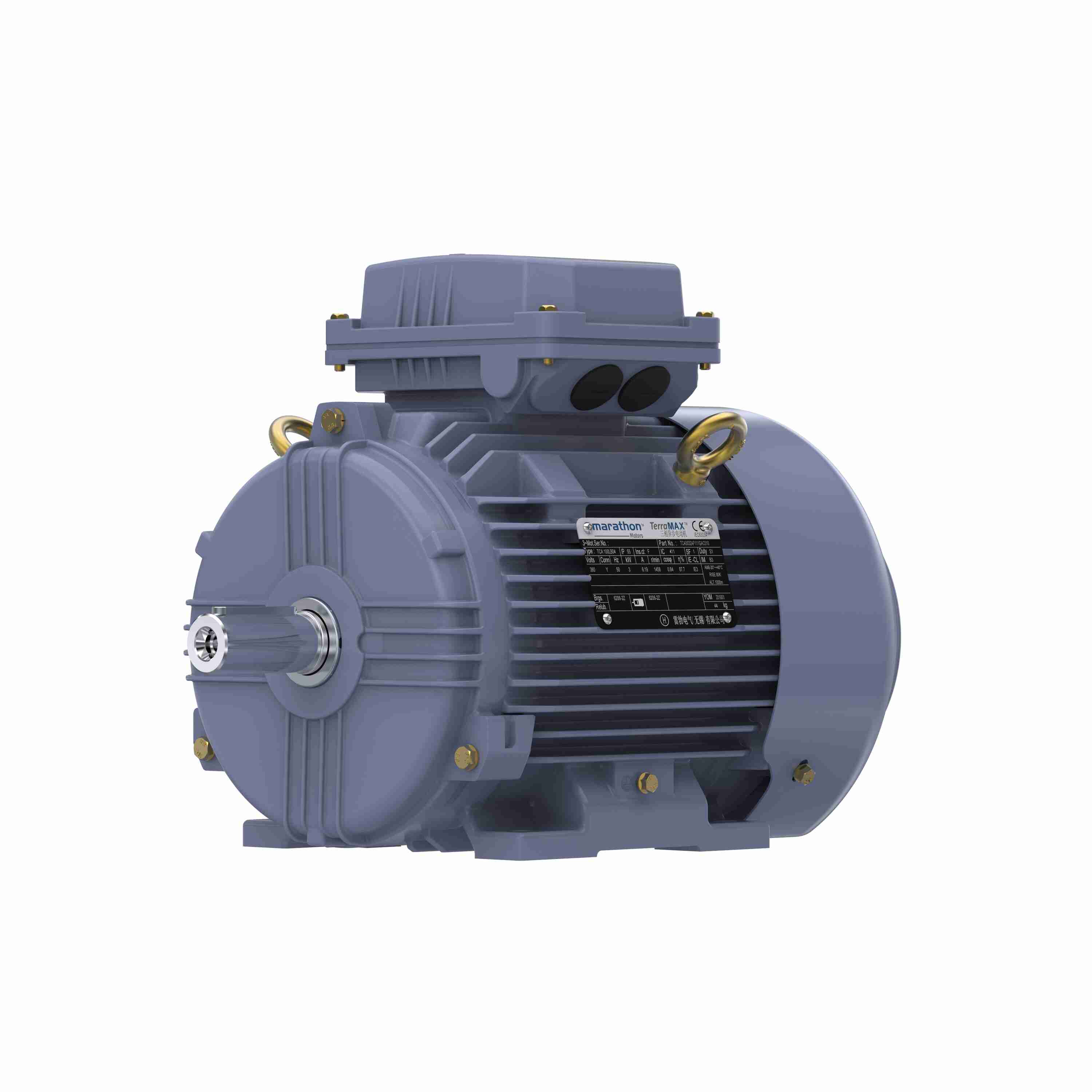 Marathon Electric Cast Iron Motor, 4 HP, 3 Ph, 50 Hz, 380 V, 3000 RPM, 100L Frame, TEFC
