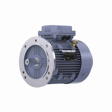 Marathon Electric Cast Iron Motor, 4 HP, 3 Ph, 50 Hz, 380 V, 3000 RPM, 100L Frame, TEFC