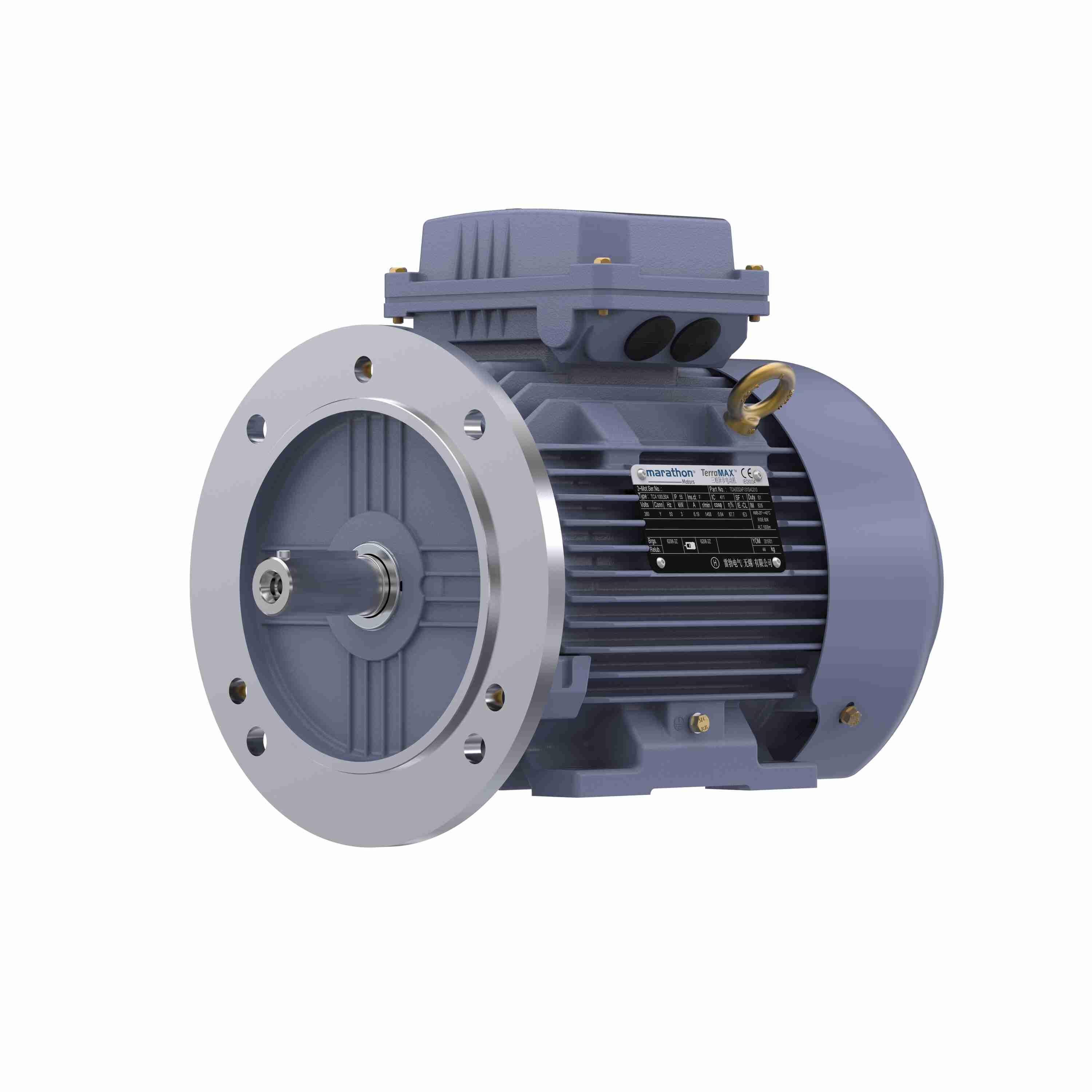 Marathon Electric Cast Iron Motor, 4 HP, 3 Ph, 50 Hz, 380 V, 3000 RPM, 100L Frame, TEFC