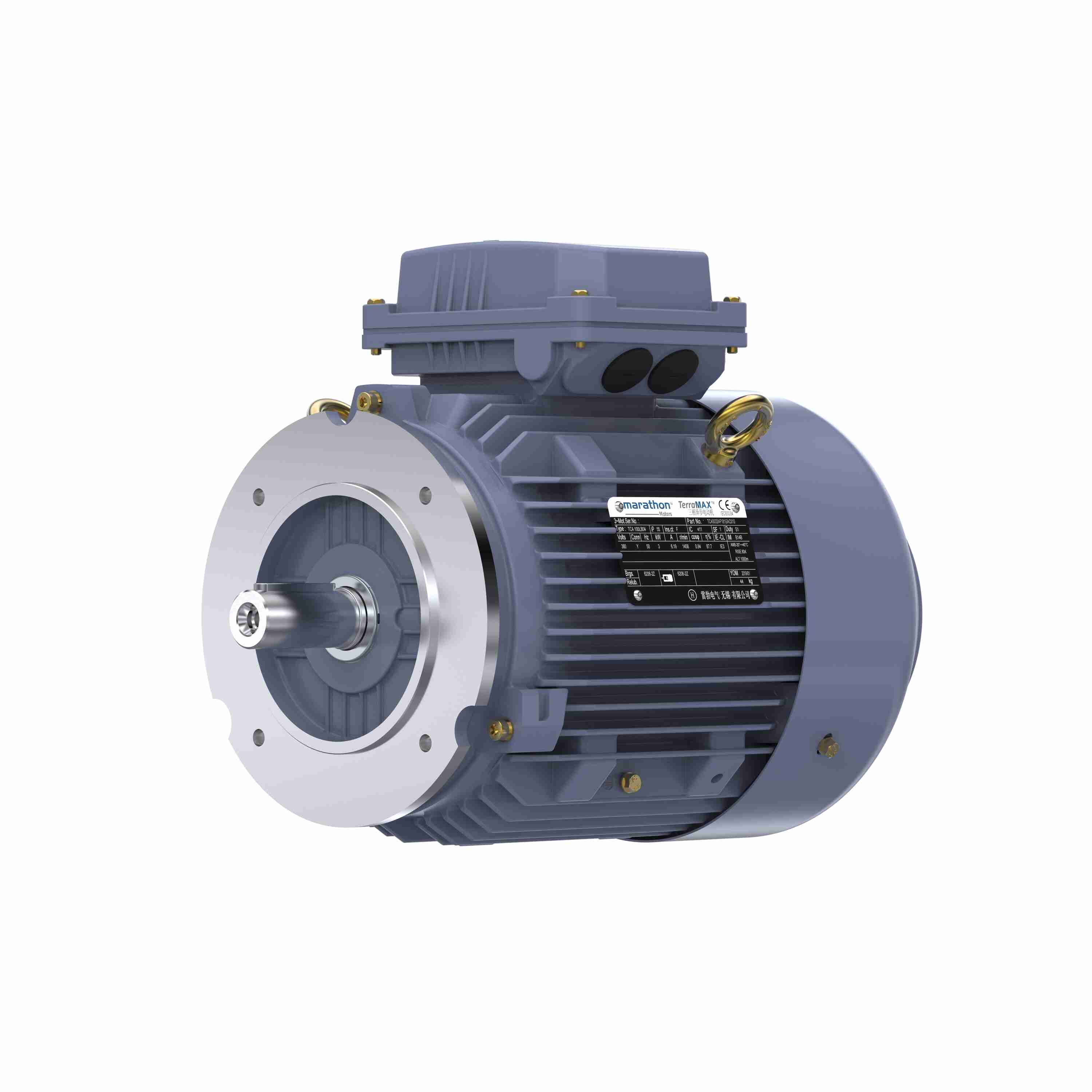 Marathon Electric Cast Iron Motor, 3 HP, 3 Ph, 50 Hz, 380 V, 1500 RPM, 100L Frame, TEFC