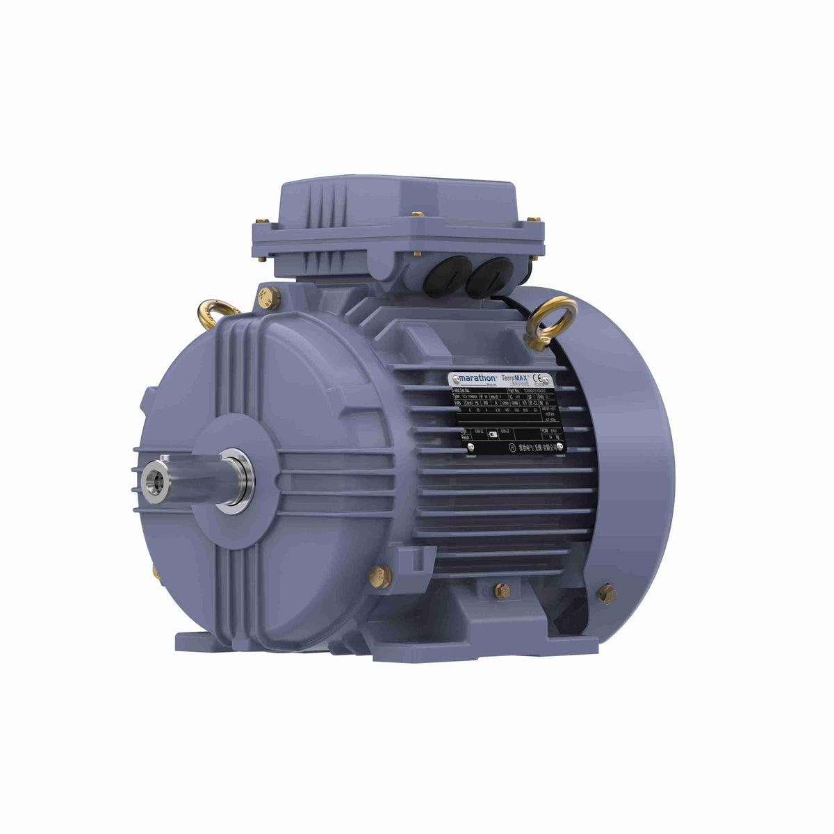 Marathon Electric Cast Iron Motor, 5.50 HP, 3 Ph, 50 Hz, 380 V, 3000 RPM, 112M Frame, TEFC