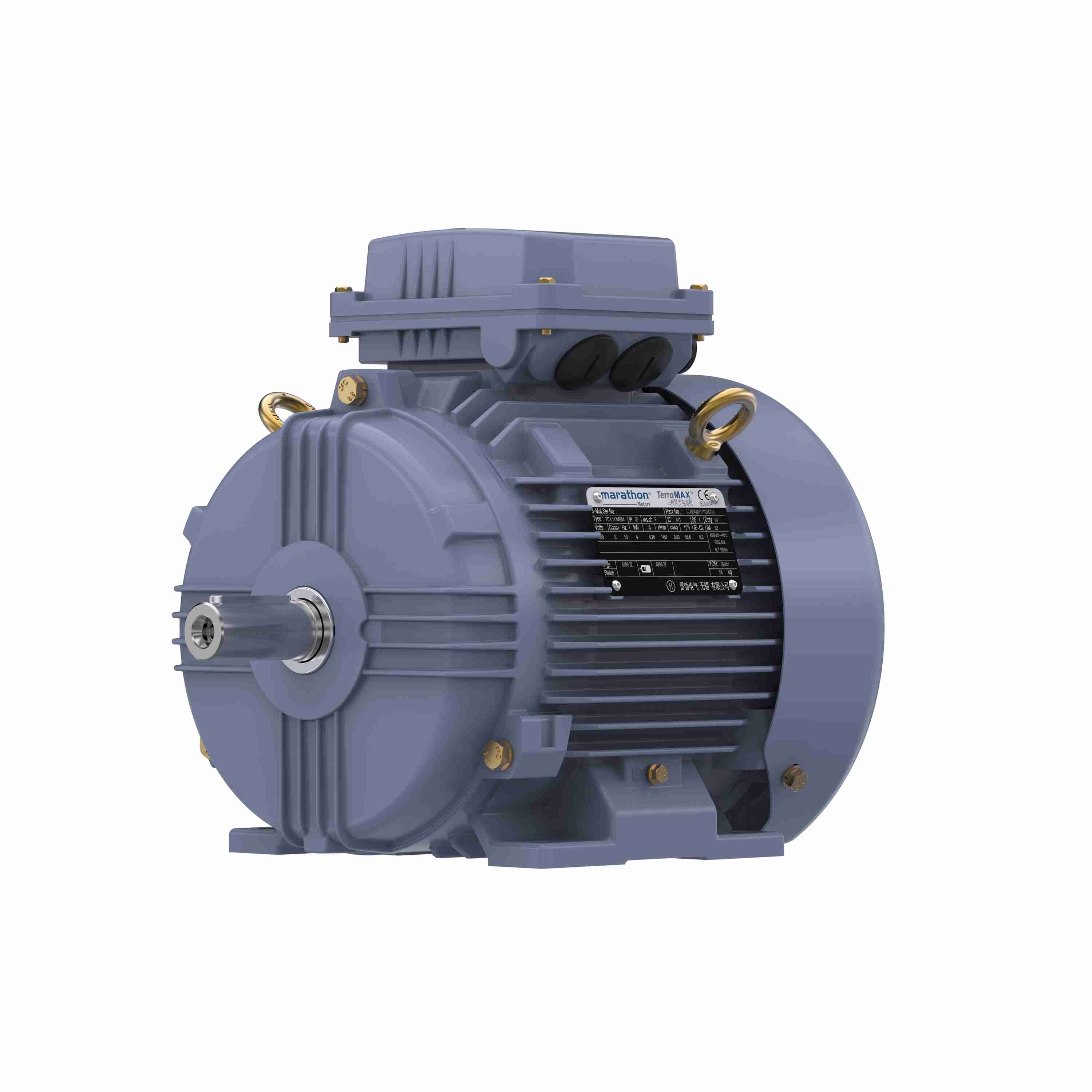 Marathon Electric Cast Iron Motor, 5.50 HP, 3 Ph, 50 Hz, 380 V, 3000 RPM, 112M Frame, TEFC