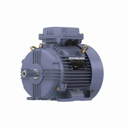 Marathon Electric Cast Iron Motor, 3 HP, 3 Ph, 50 Hz, 380 V, 1000 RPM, 112M Frame, TEFC